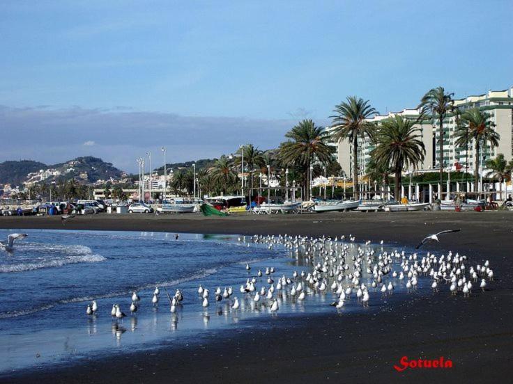 Apartamento El Bambu Cerca Del Mar Malaga Zewnętrze zdjęcie
